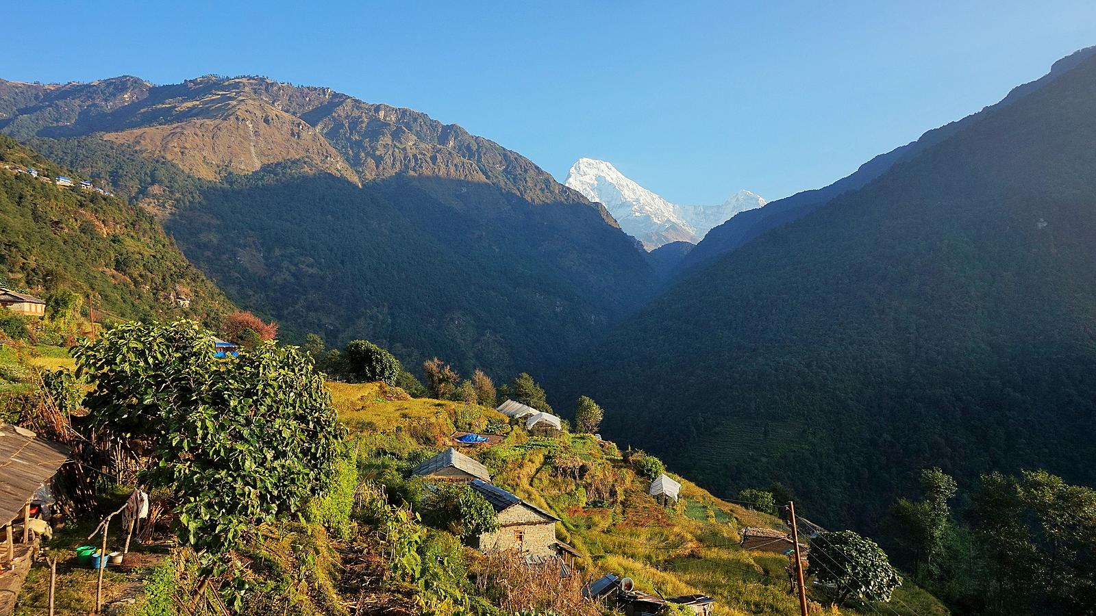 Drive from Pokhara to Nayapul. Trek to Ulleri'