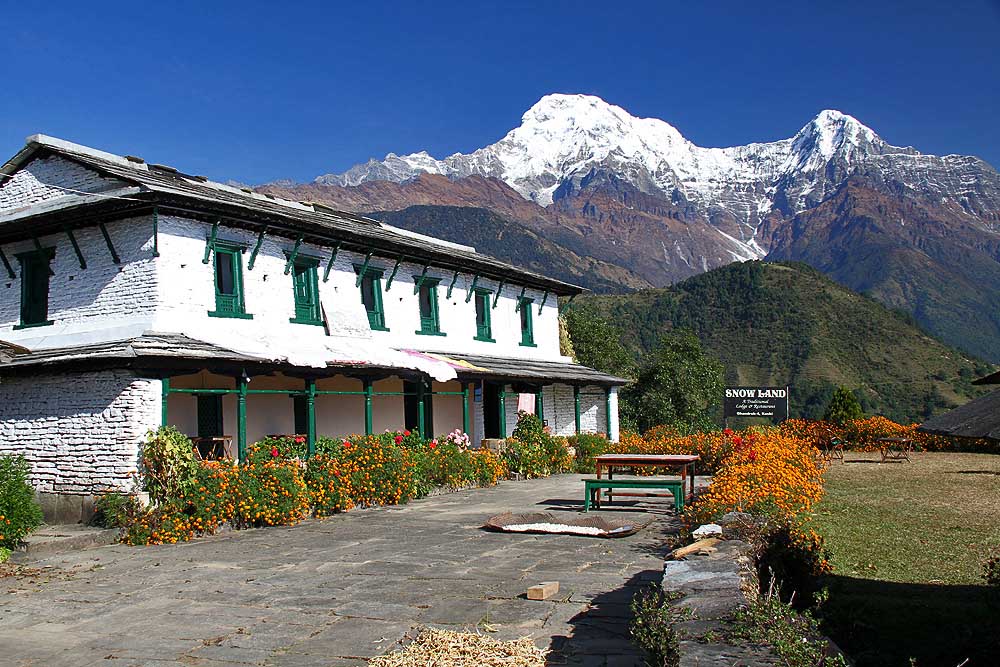 Trek from Ulleri to Ghorepani'