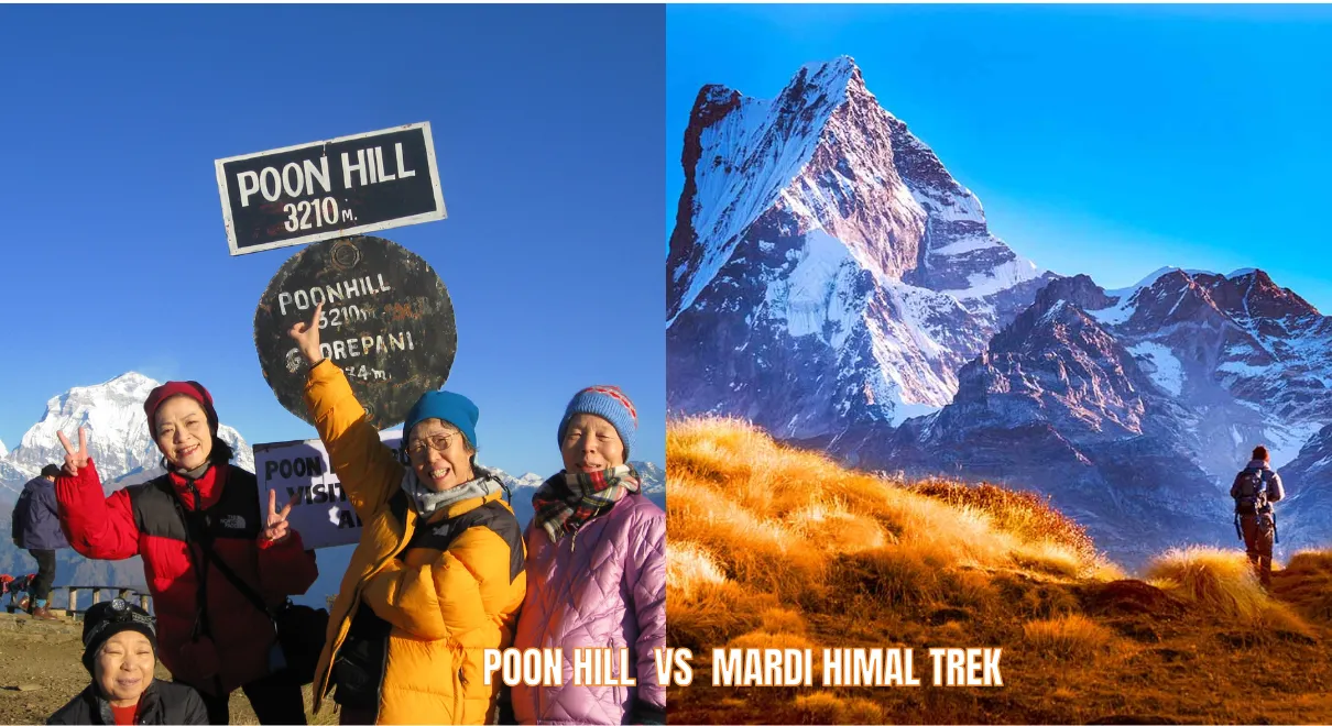 Poon Hill vs Mardi Himal Trek comparison with sunrise views and Himalayan landscapes in the Annapurna region Nepal