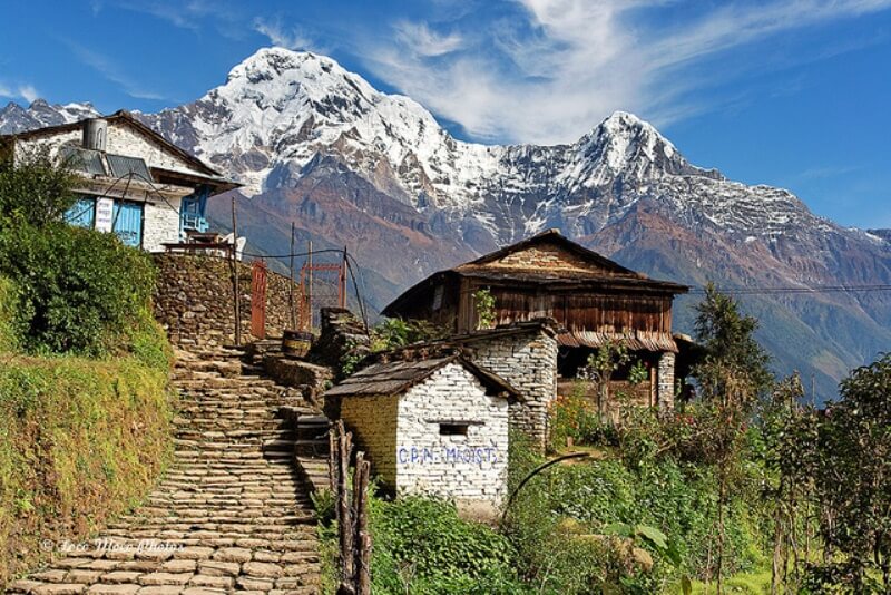 Climb Poon hill. Trek to Ghandruk'