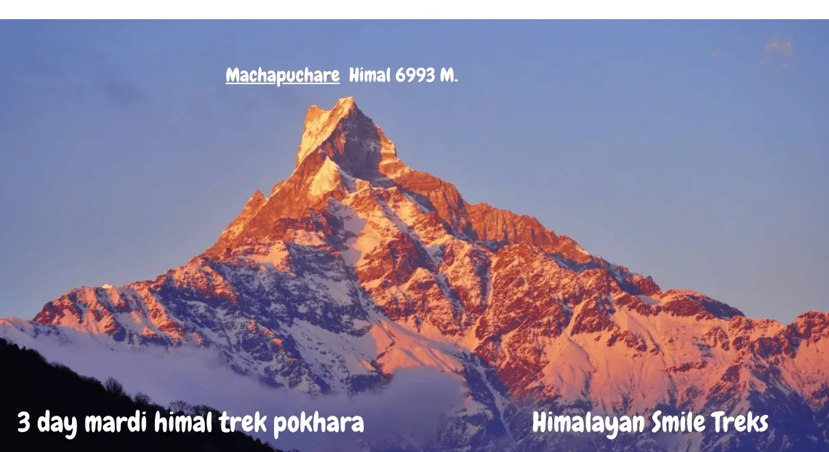 3-Day Mardi Himal Trek from Pokhara with Fishtail Mountain view