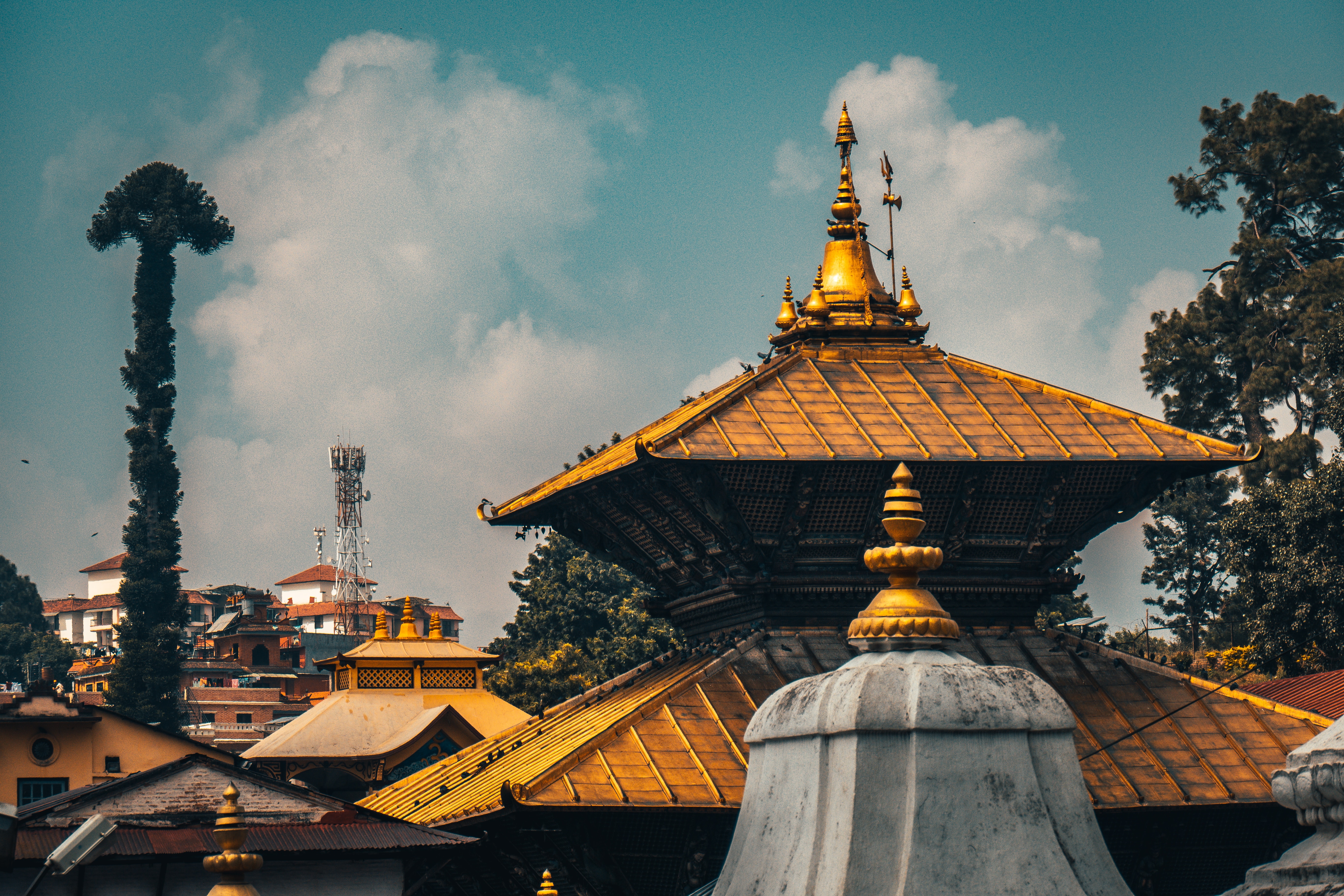 Excursion. Fly to Kathmandu. Sightseeing.'