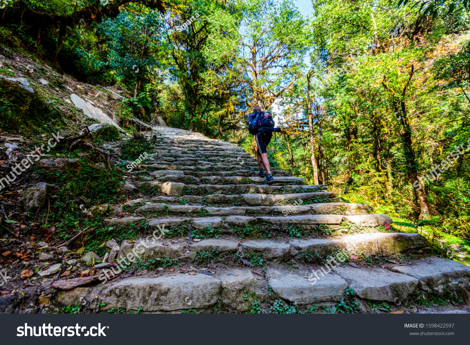 Trek Ulleri to Ghorepani 