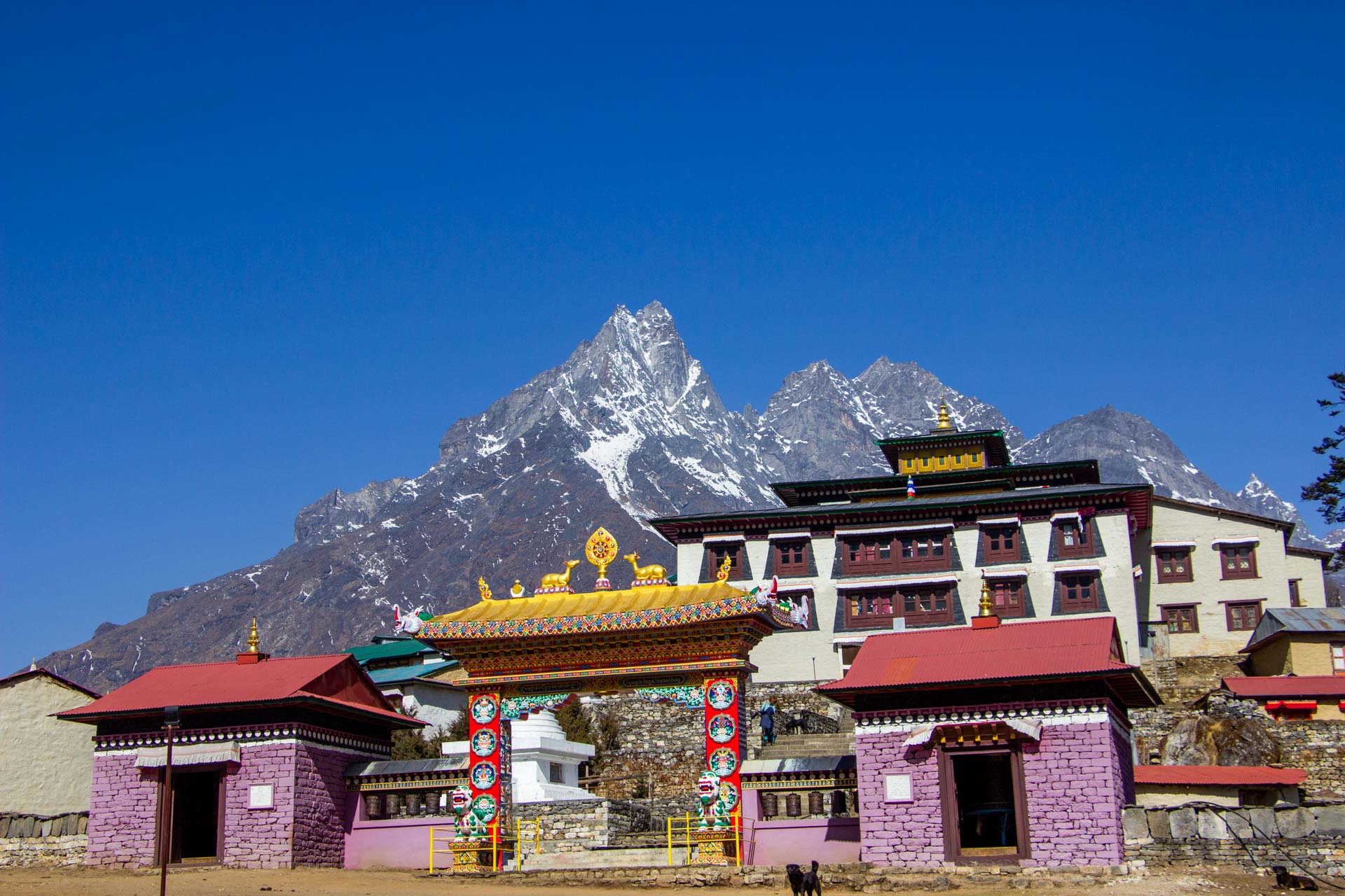 Visit Tengbochey monastery and explore around