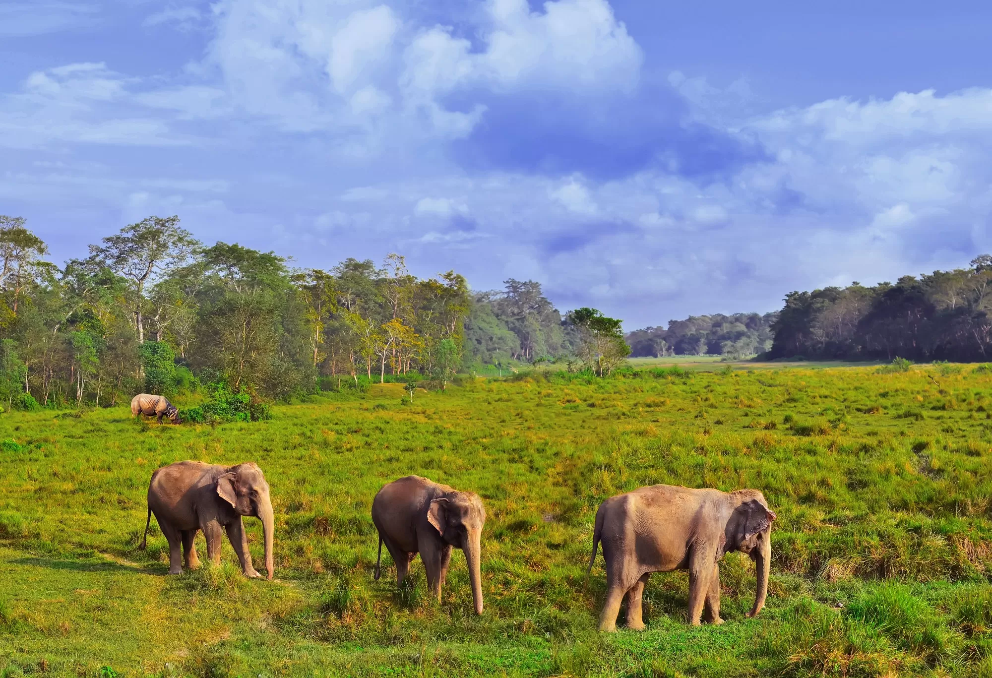 Chitwan National Park Chitwan National Park