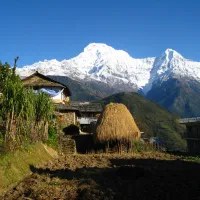 Dec 27: Trek Tadapani to Ghandruk (1,940m)