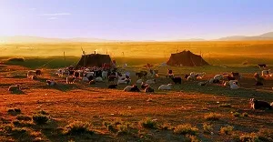 Drive to Horaa (Horchu) to Paryang (4550 m.)