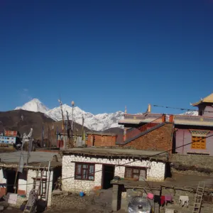 Explore around the Muktinath temple and Buddhist Gompa