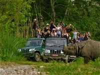 Fly to Chitwan National Park. Cultural tour