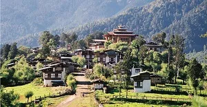 Gangtey – Gogona (start of trek)