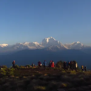 Hike to Poon Hill, Trek to Tadapani