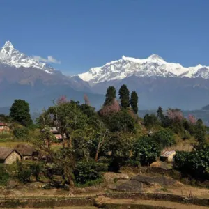 Kalikastan to Shaklung (1730m).