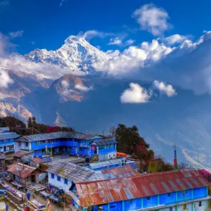 Morning hike to Poon-Hill and trek to Tadapani 2,721m.
