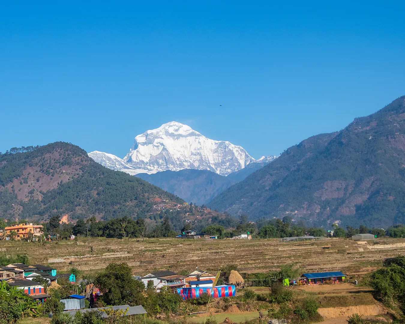 Sibang to Muri. to Jugepani.