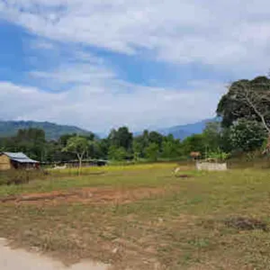 Trek Tashi Gaon to Num & Drive to Tumlingtar