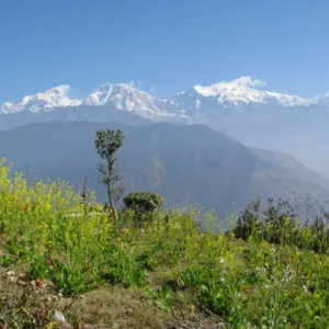 Trek to Telbrung Danda