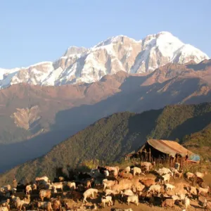 Trek to Thurju